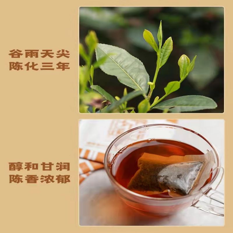 速泡黑茶